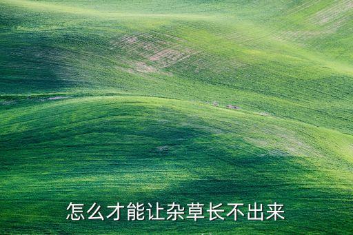打什么農(nóng)藥草不長,什么農(nóng)藥能把草徹底殺死