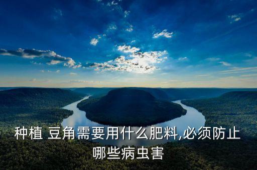 豆角小苗雨后打什么農藥,豆角雨后噴什么藥