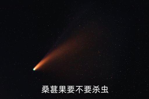  桑葚果要不要殺蟲