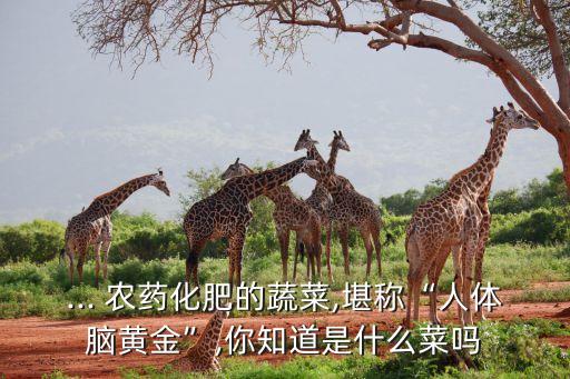 農藥叫什么草菇,百草菇農藥喝了一口能死嗎