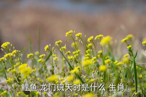 農藥出龍門是什么生肖,龍門三九有幾何是什么生肖