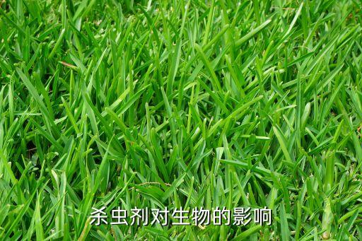 農(nóng)藥對蟲子有什么作用,帶殼的蟲子用什么農(nóng)藥打