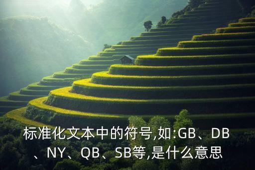 標準化文本中的符號,如:GB、DB、NY、QB、SB等,是什么意思