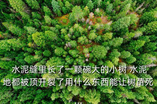 什么農(nóng)藥會讓水泥長毛,農(nóng)藥對水泥有沒有什么影響?