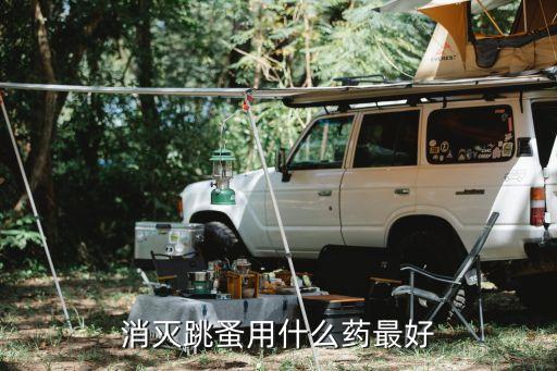 跳騷泛濫用什么農藥