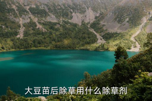 黃豆葉子黃用什么農藥,黃豆打什么農藥好