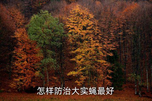 用什么農藥噴果實蠅最好,月季花噴什么農藥最好