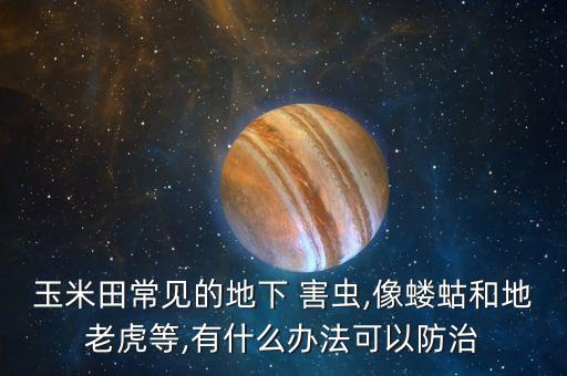 田里害蟲(chóng)用什么農(nóng)藥最好,為了清除田里的害蟲(chóng)我們應(yīng)多噴灑農(nóng)藥