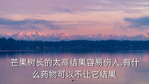  芒果樹長的太高結果容易傷人,有什么藥物可以不讓它結果