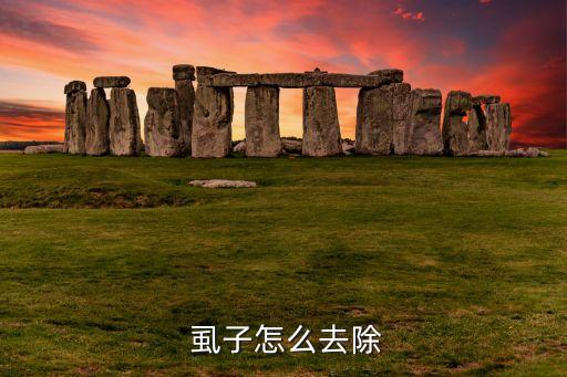  虱子怎么去除