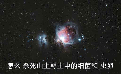 什么農藥能殺死毛蟲卵,黑毛毛蟲用什么可以殺死