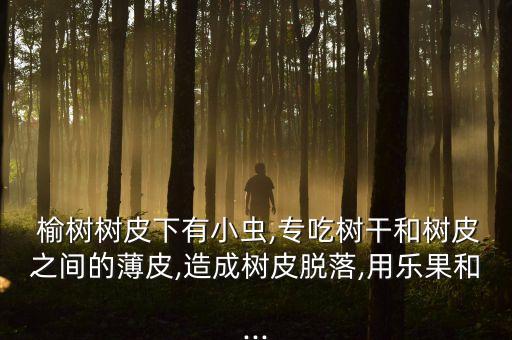 榆樹干蛀蟲用什么農藥治,桃子蛀蟲用什么農藥