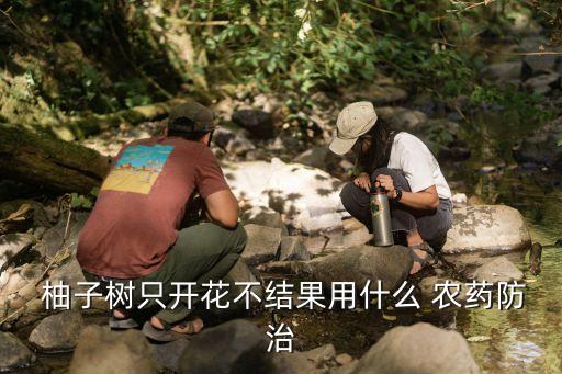 柚子樹最怕什么農藥