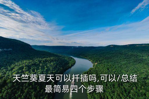  天竺葵夏天可以扦插嗎,可以/總結最簡易四個步驟