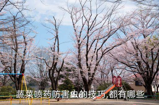  蔬菜噴藥防害蟲的技巧,都有哪些
