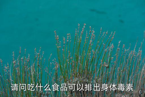 請問吃什么食品可以排出身體毒素