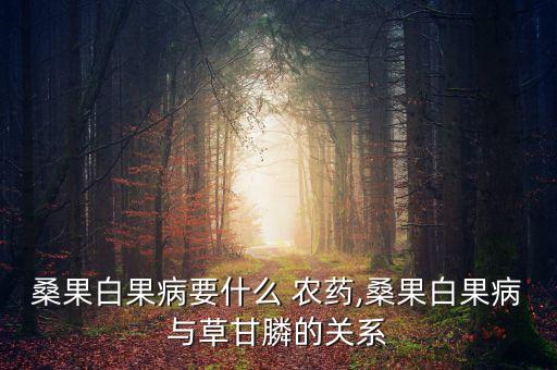 桑果白果病要什么 農藥,桑果白果病與草甘膦的關系