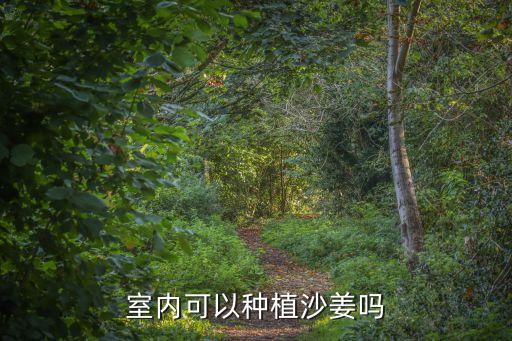 沙姜要噴什么農藥,沙姜噴什么農藥好