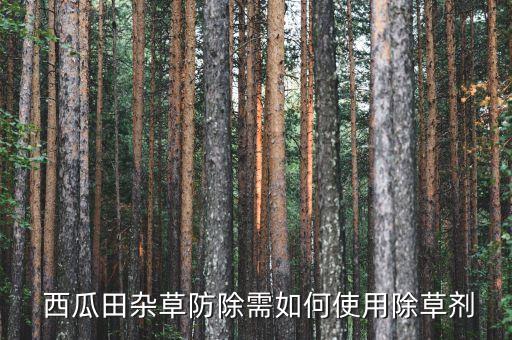  西瓜田雜草防除需如何使用除草劑