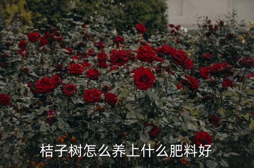 橘子樹打什么農藥不掉花,橘子一般噴什么農藥