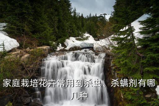 鞘翅目害蟲(chóng)用什么農(nóng)藥,地下害蟲(chóng)用什么農(nóng)藥