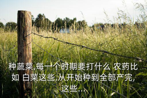 種蔬菜,每一個時期要打什么 農藥比如 白菜這些,從開始種到全部產完,這些...