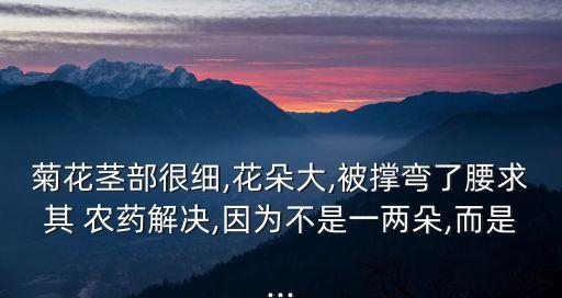 細(xì)能是什么農(nóng)藥,666粉是什么農(nóng)藥