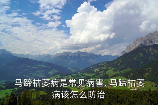  馬蹄枯萎病是常見病害, 馬蹄枯萎病該怎么防治