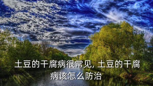  土豆的干腐病很常見, 土豆的干腐病該怎么防治