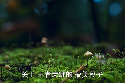關于 王者榮耀的 搞笑段子