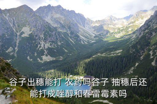谷子出穗能打 農(nóng)藥嗎谷子 抽穗后還能打戍唑醇和春雷霉素嗎