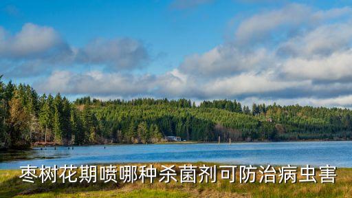  棗樹花期噴哪種殺菌劑可防治病蟲害