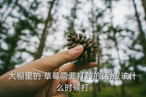 大棚里的 草莓需要打藥的話,應該什么時候打