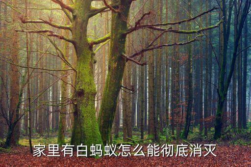 什么農藥可殺死白蟻卵蟲,用什么方法可以殺死白蟻