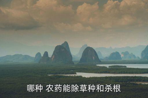哪種 農(nóng)藥能除草種和殺根