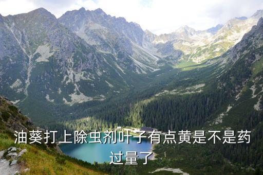  油葵打上除蟲劑葉子有點黃是不是藥過量了