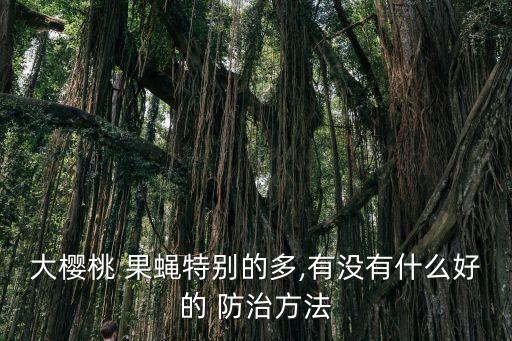 什么農(nóng)藥能防治果蠅,什么時(shí)間是防治果蠅的最佳時(shí)期