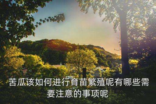  苦瓜該如何進行育苗繁殖呢有哪些需要注意的事項呢