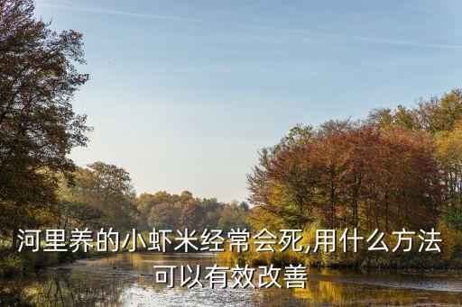 蝦和什么農藥不會死,用什么農藥毒蝦效果好