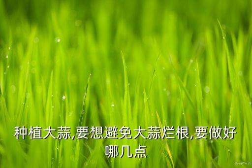 種植大蒜,要想避免大蒜爛根,要做好哪幾點
