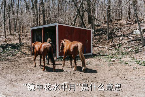 ‘‘鏡中花水中月’’是什么意思