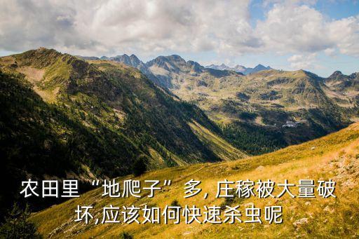 農田里“地爬子”多, 莊稼被大量破壞,應該如何快速殺蟲呢