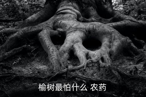 樹害怕什么農藥,有什么農藥可以把樹毒死
