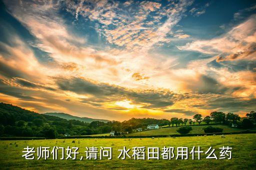 老師們好,請問 水稻田都用什么藥