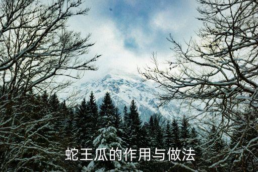  蛇王瓜的作用與做法