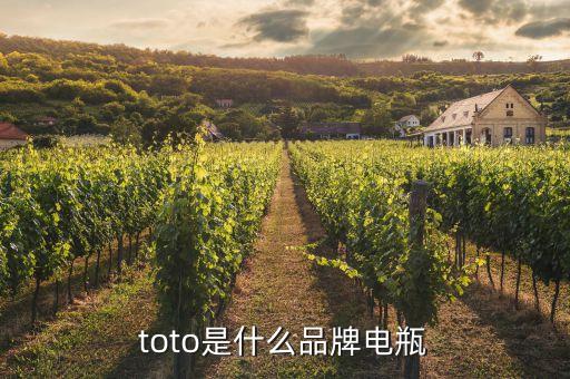 toto是什么品牌電瓶