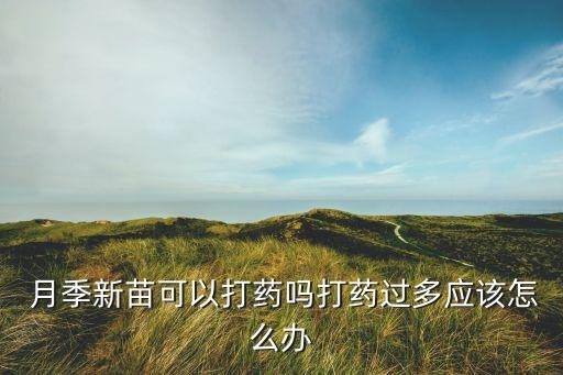  月季新苗可以打藥嗎打藥過多應(yīng)該怎么辦