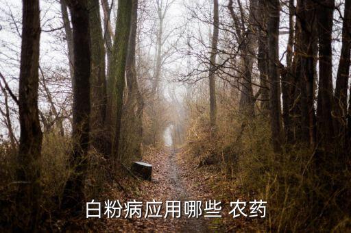 白色的農(nóng)藥是什么,DDT是什么農(nóng)藥