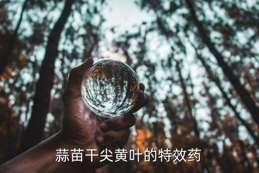 大蒜葉枯病用什么農藥,大蒜苗葉枯病很嚴重怎么治療