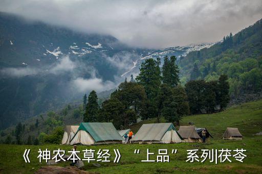 神農(nóng)藥典是什么意思,藥典1→40是什么意思